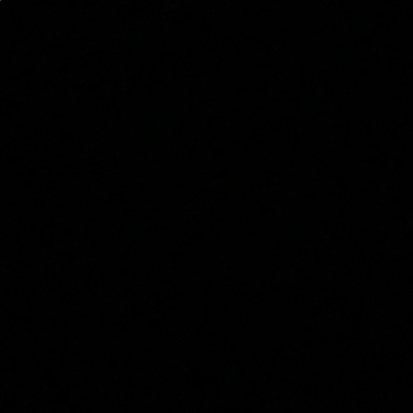 Meet your Posher, Perry - Picture 1 of 1